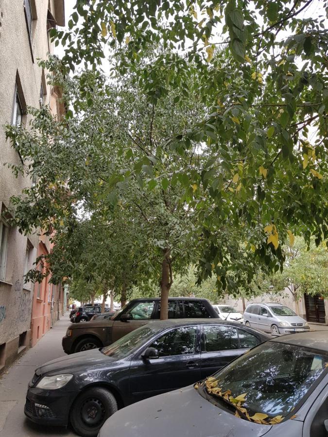 Mia Apartment Νόβι Σαντ Εξωτερικό φωτογραφία